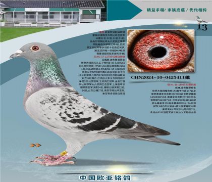 ����.�ϲ�³��ԭ�����542X523