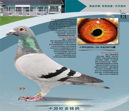 �Ǳ�ԭ�ᳬ������ŷֱ��727X��ӥ��127