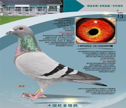 �Ǳ�ԭ�ả����143X�ʼһ�ֱŮ334