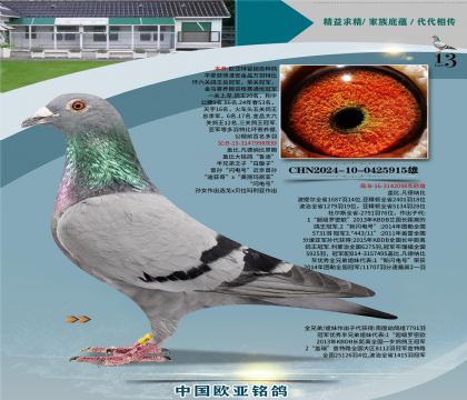 �Ǳ�ԭ��³��998X³��ֱŮ098