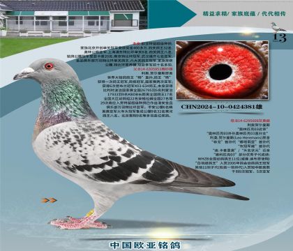 ����ԭ�������851X03����608