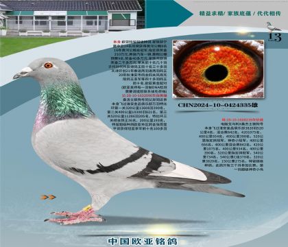 ɣ��ʿ090X����Xɣ��ʿ061ֱŮ