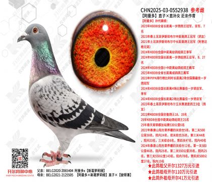 ������ֱ�ӡ�ֱ��Ů  ��������