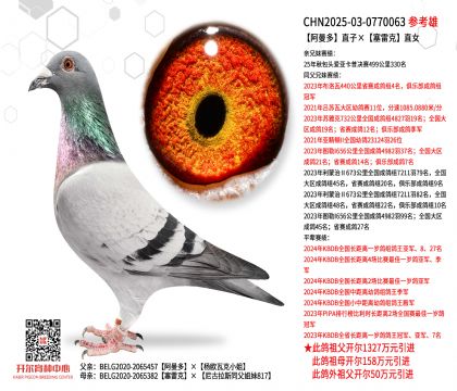 ������ֱ�ӡ����׿�ֱŮ