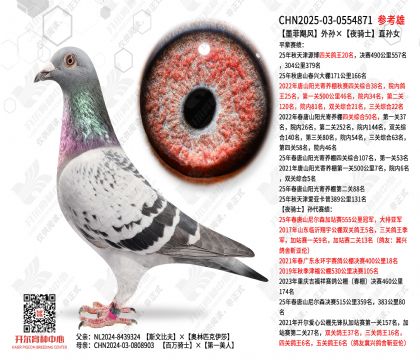 ī��쫷������ҹ��ʿֱ��Ů