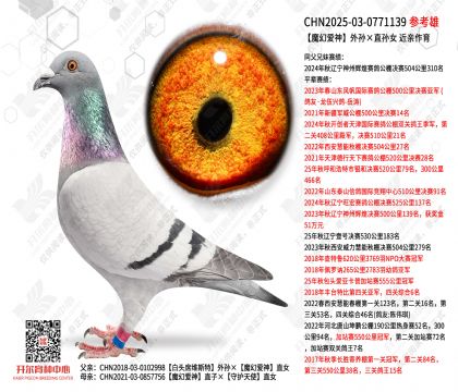 ħ�ð��������ֱ��Ů   ��������