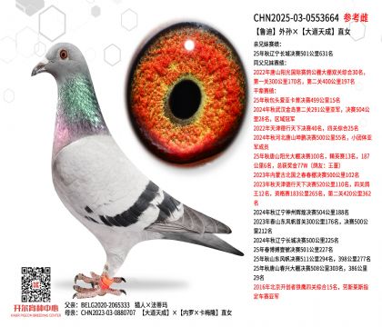 ³�������������ֱŮ