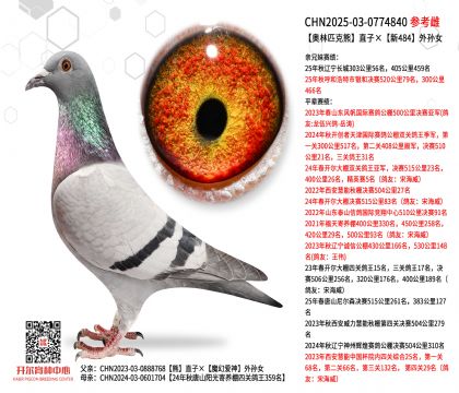 ����ƥ����ֱ�ӡ���484����Ů