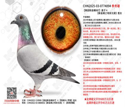 �ƽ��½�ķ887ֱ�ӡ��½�ķ֮ĸ���ֵ�ֱŮ