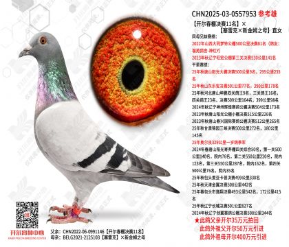 �����������11���������׿ˡ��½�ķ֮ĸ��ֱŮ