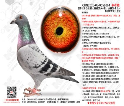 �������Ĺ������˫��4��������29��������õ��ֱŮ