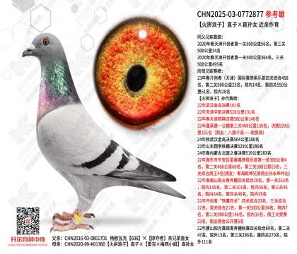 ��ƴ����ֱ�ӡ�ֱ��Ů ��������