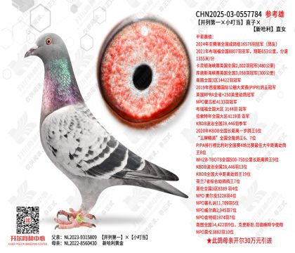 �����е�һ��С������ֱ�ӡ��¹���ֱŮ