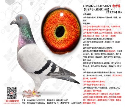 21�꿪���������239�����ٷ�����ֱŮ