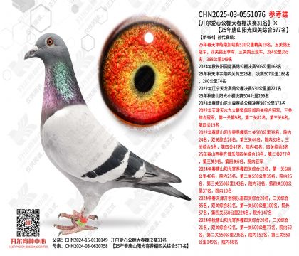 �������Ĺ���������31����25����ɽ�����Ĺ��ۺ�577