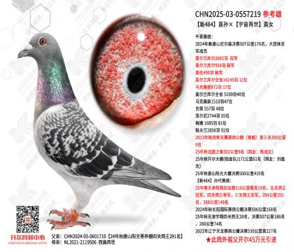 ��484ֱ�����������ֱŮ