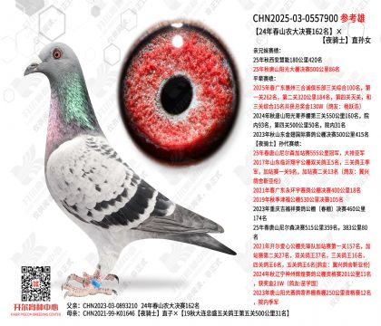 24�괺ɽũ�����162����ҹ��ʿֱ��Ů