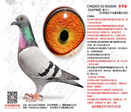 ��������ŷֱ�ӡ�24�����������Ǿ���225��