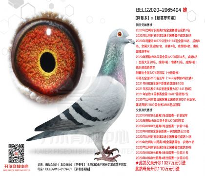 1����20-2065404