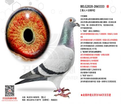 1����2065333