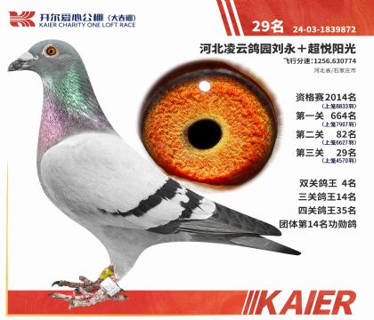 1����24-1839872