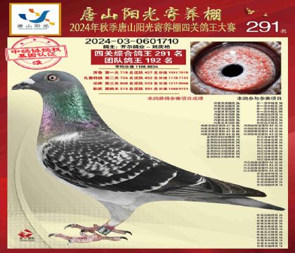 1����24-0601710