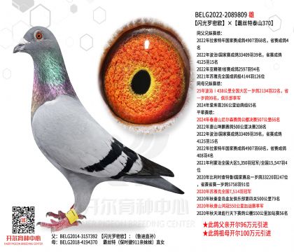 1����22-2089809