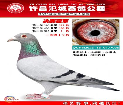 河南氾城决赛冠军(三关鸽王9名)