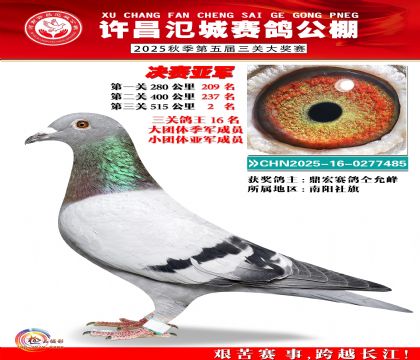 河南氾城决赛亚军