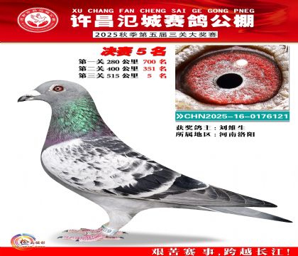 河南氾城决赛5名