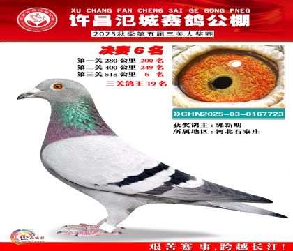 河南氾城决赛6名