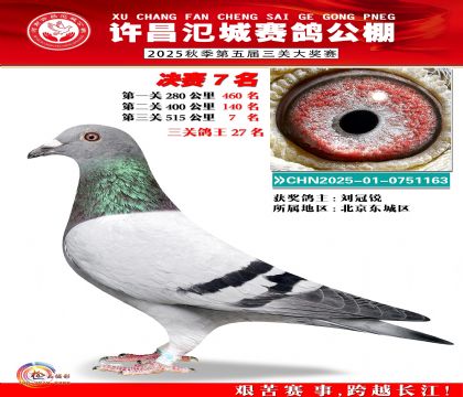 河南氾城决赛7名