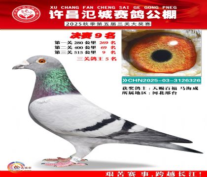 河南氾城决赛9名(三关鸽王5名)