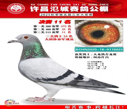 河南氾城决赛11名