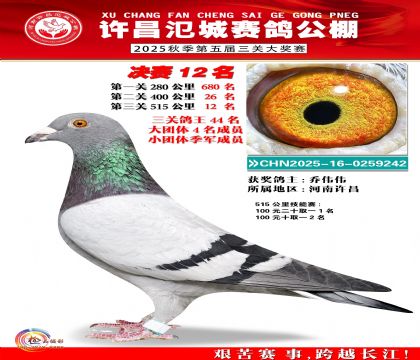 河南氾城决赛12名