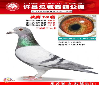 河南氾城决赛13名