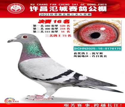 河南氾城决赛16名