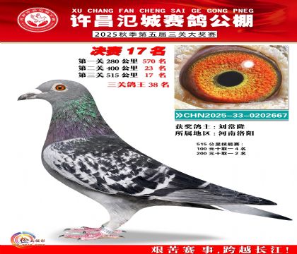 河南氾城决赛17名