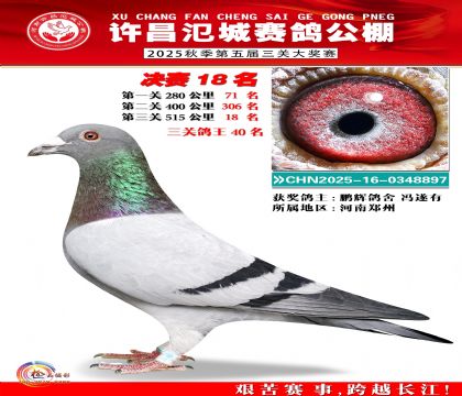 河南氾城决赛18名