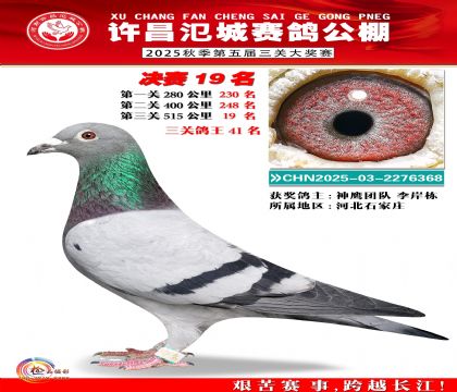 河南氾城决赛19名