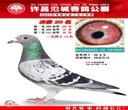 河南氾城决赛20名