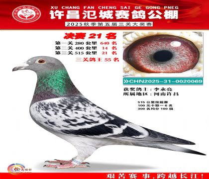 河南氾城决赛21名