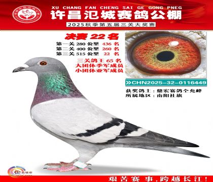 河南氾城决赛22名