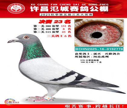 河南氾城决赛23名(三关鸽王6名)