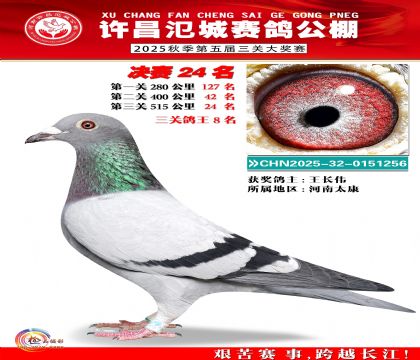 河南氾城决赛24名(三关鸽王8名)