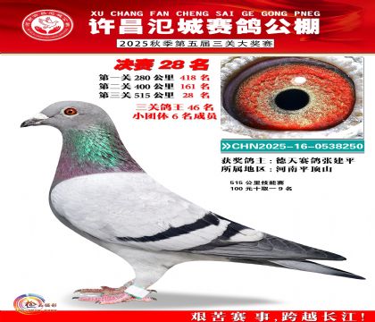 河南氾城决赛28名