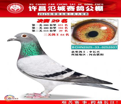 河南氾城决赛29名