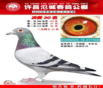 河南氾城决赛30名