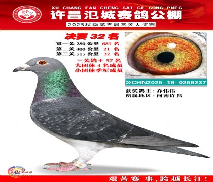 河南氾城决赛32名