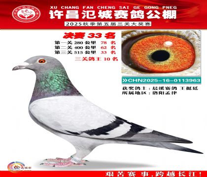 河南氾城决赛33名(三关鸽王10名)